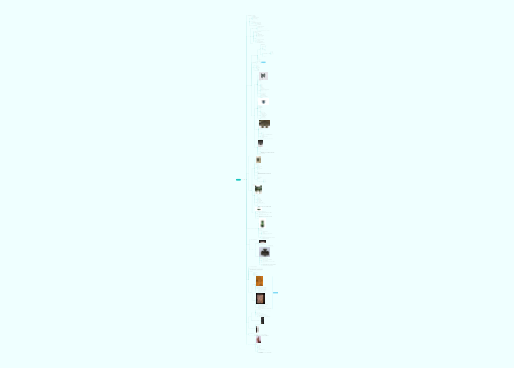 中国美术史先秦时期
