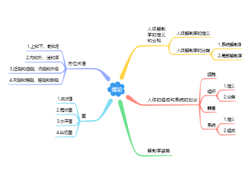 系统解剖学绪论