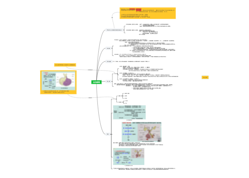 组织学与胚胎学：内分泌系统