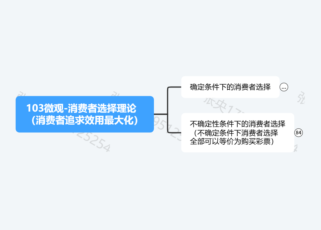 高鸿业经济学考研-103消费者在产品市场中的行为理论