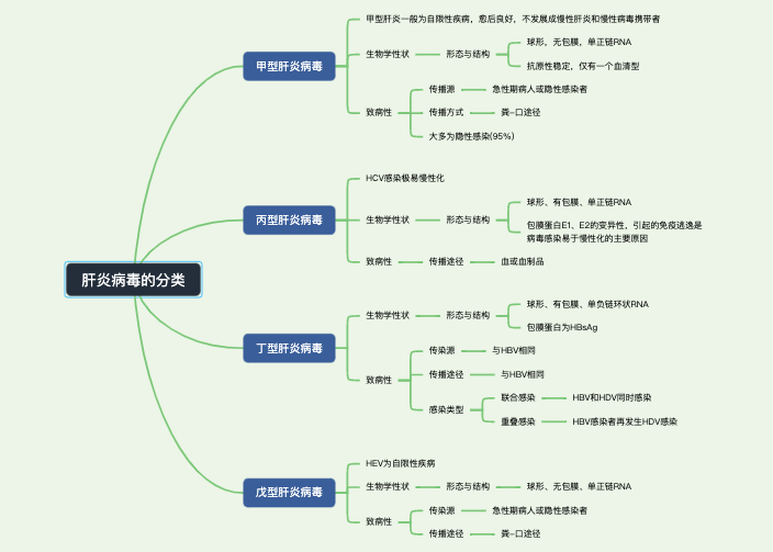 医学微生物学-肝炎病毒的分类