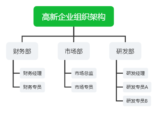 高新企业组织架构