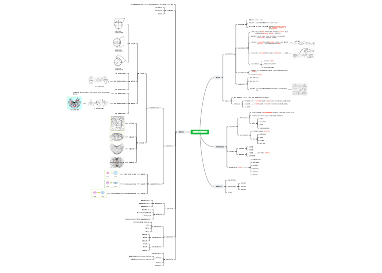 新编地图学教程第三版第二章思维导图