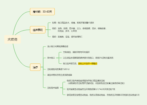 犬咬伤防治 简单科普